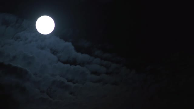 full | moon | raw 7