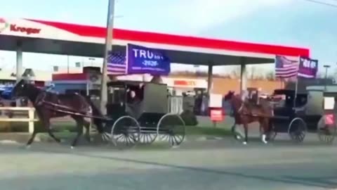 The Amish are flying Trump flags on their buggies: