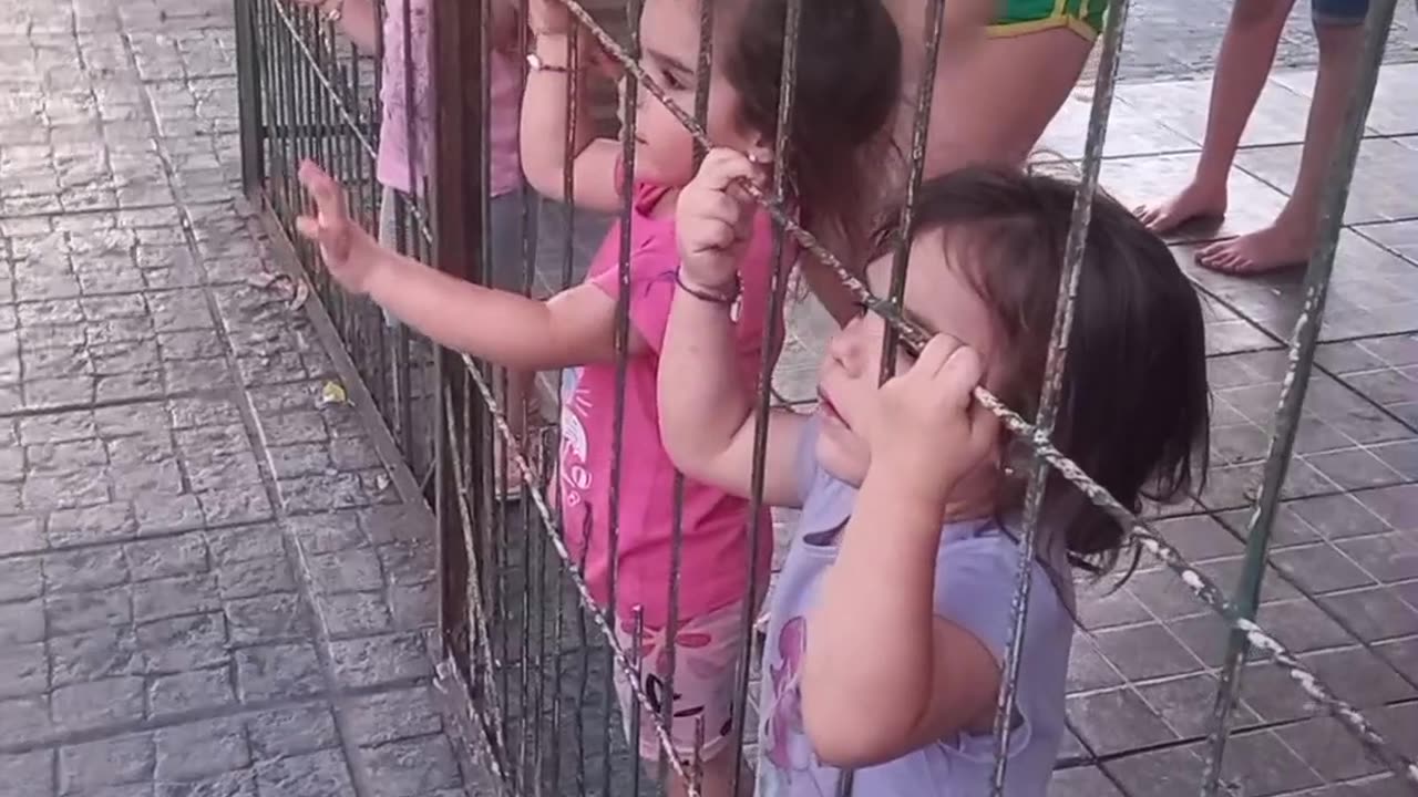 Little Hands Line Up For Kisses