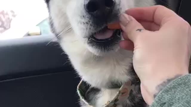 ASMR with Carrots