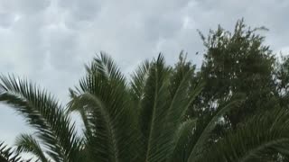 Mesmerizing Mammatocumulus Cloud Formation Fills Sky