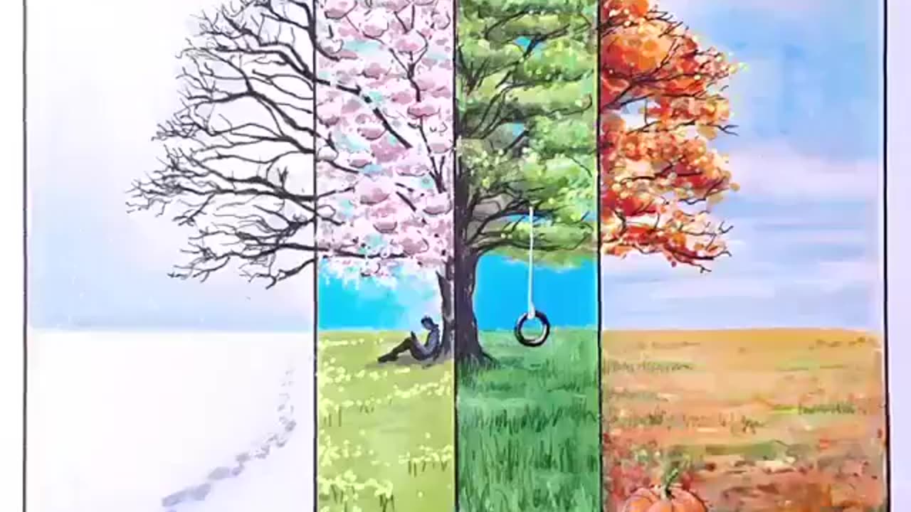 Four seasons