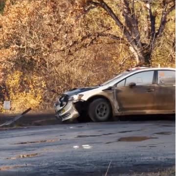 When your co-driver on Dirt Rally says don’t cut, but you know signs don’t cause terminal damage