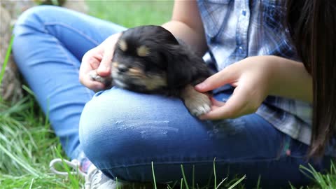 Happy life of girl and puppy