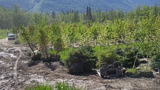 Beautiful day at the farm unloading trailer