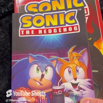 Should You Get “Sonic and Tails_ Best Buds Forever”? #sonicthehedgehog