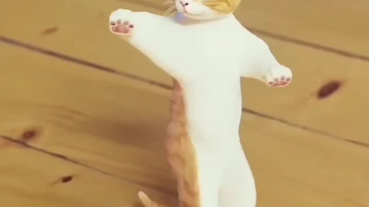 Cat is dancing in her own way 🤣😄