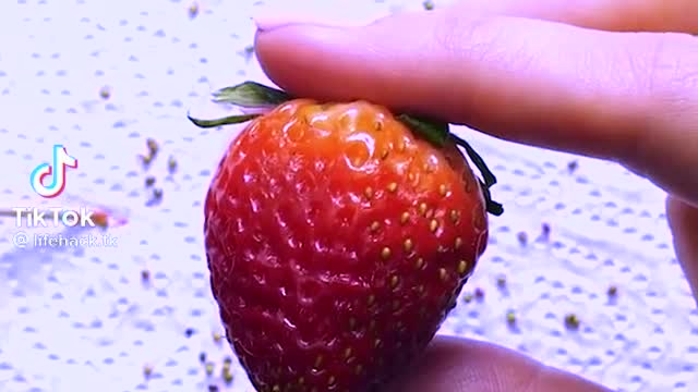 How to grow strawberries-life hack