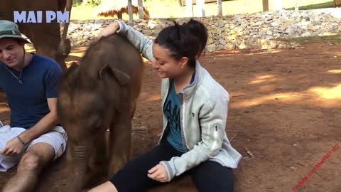 Animals loves humans This will melt you Heart !!!