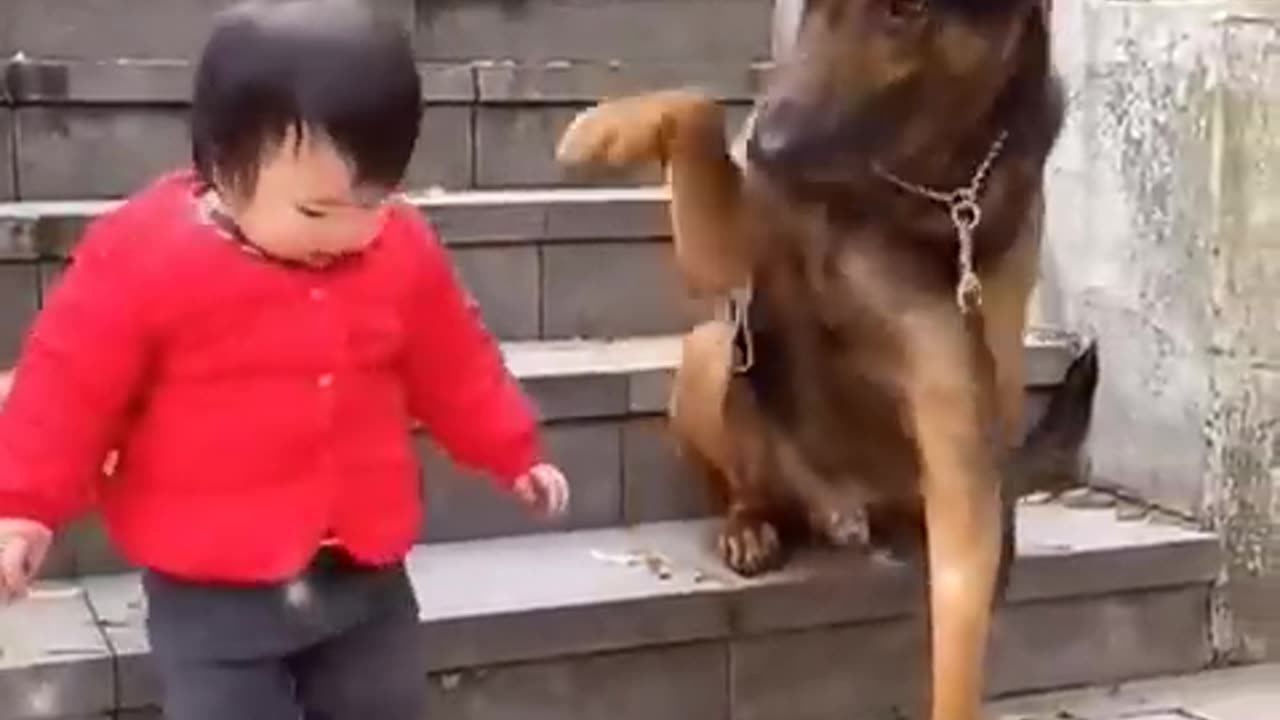 The Cutest Babysitter Ever! #cutebaby #dog #cat #cute #kitten #pets