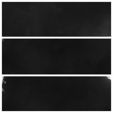 An Orb and other Creatures of The Night