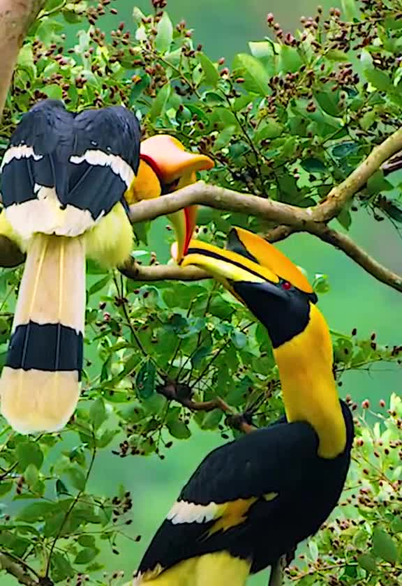 See In Seconds Love in Nature