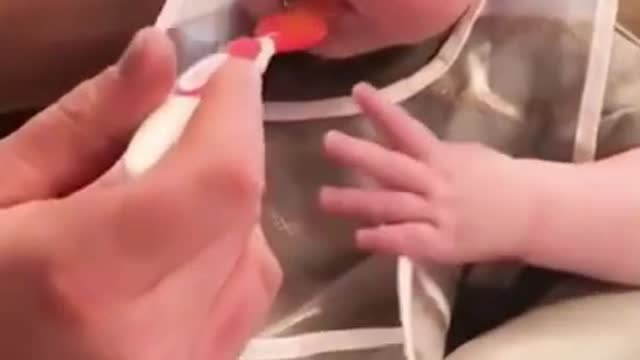 Funny Baby Videos eating