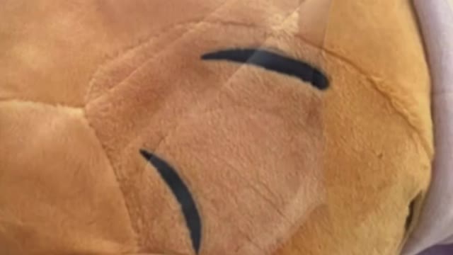 Disney Parks Sleeping Winnie the Pooh Plush Doll #shorts