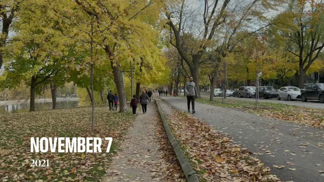 MONTREAL OLDEST PARK