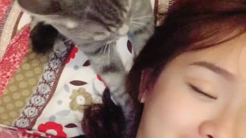 Cat Gives Massages