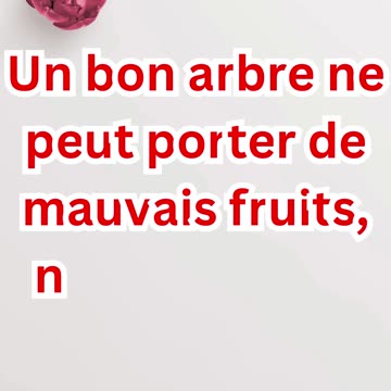 "Un bon arbre ne peut porter de mauvais fruits" Matthieu 7:18.#shorts #youtube #yt #shortsvideo