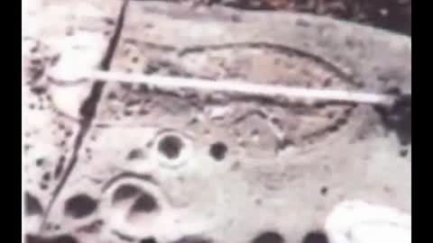 Out of Place - Artefakte die es nicht geben dürfte!