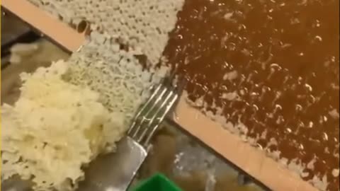 Анекдот про американца, немеца и русского на необитаемом острове 😂 / самые смешные анекдоты