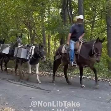 white men don't need government