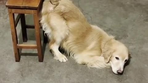 helping a friend in need