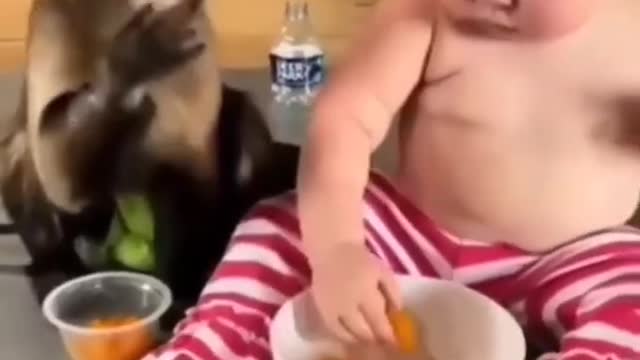 Cute baby videos