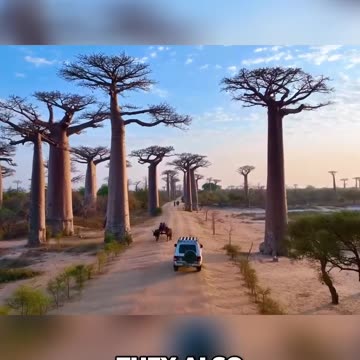 The Craziest Views in the World: Millionaires' Bucket List Destinations