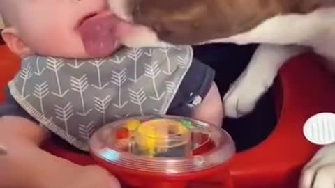 Baby and dog eating Fanny video