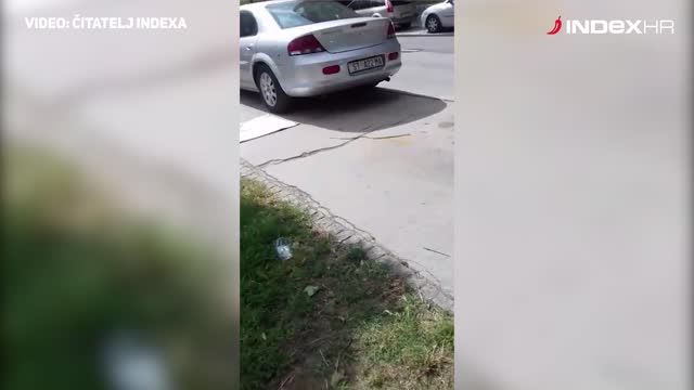 SPLIT: Ulazak zmije u automobil