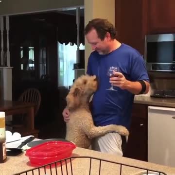 When all you need is just a hug