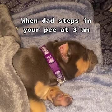 Nova is still potty training if you can’t tell!! 😆🤣