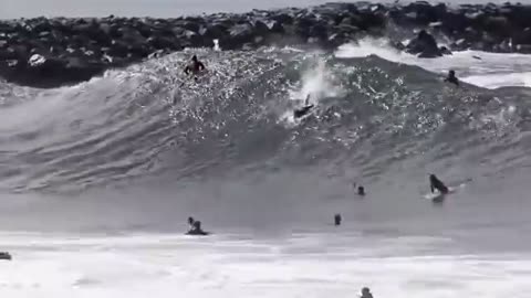 Surfing The Wedge Biggest Swell in 2020