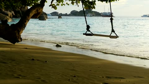 Serenity Unleashed: Rope Swing Bliss on the Beach at Sunset