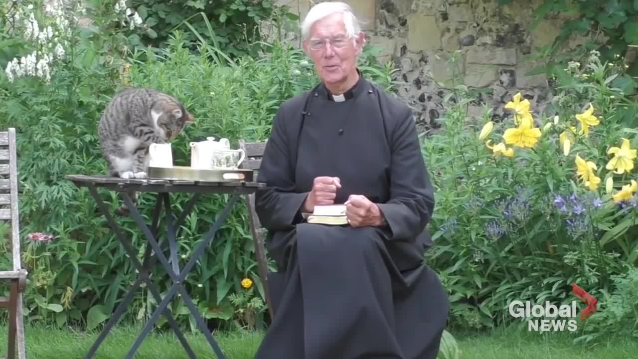 Cat steals some milk during Dean of Canterbury Cathedral's morning sermon