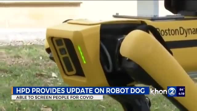 Honolulu’s newest police dog