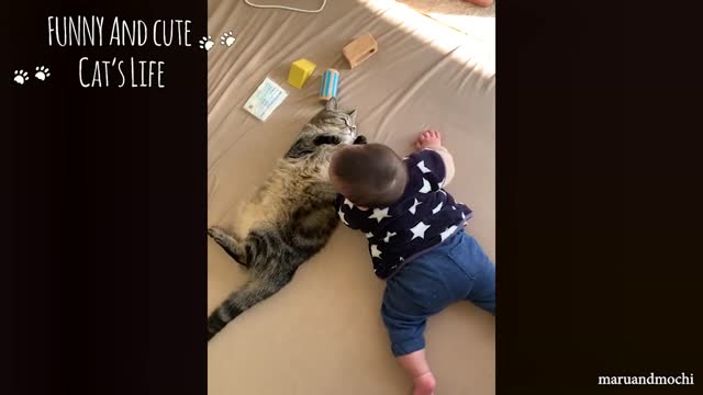 Funny and Cute Baby & Cat Videos Compilation