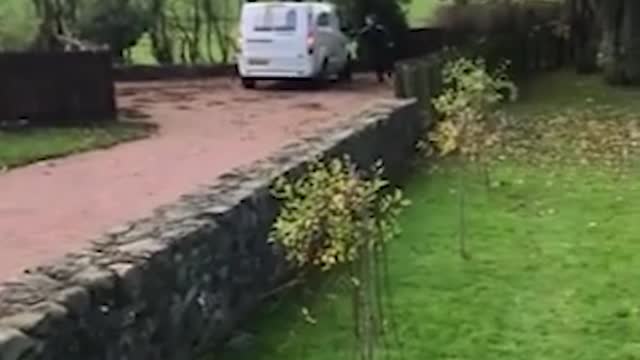 Animals can be such bullies! new
