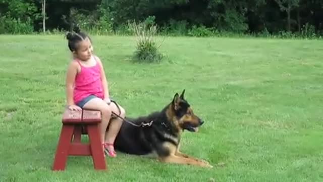 German shepherd saves six year old a girl from a kidnepper but good treaned dog