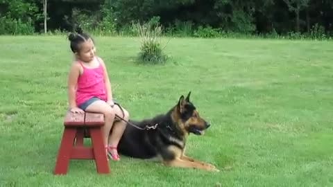 German shepherd saves six year old a girl from a kidnepper but good treaned dog