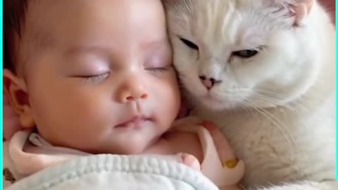 Smart and Loving: Cat Cares for Baby with Tenderness!