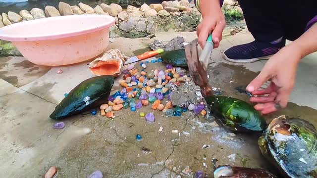 Super clean beach, perfect for pearl oyster growth. Gems, diamonds, pearls, jewelry