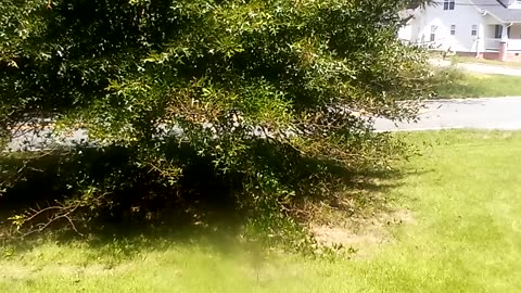 8.25.24