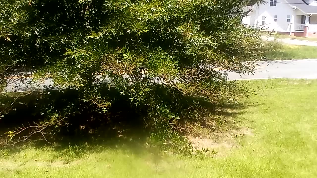 8.25.24