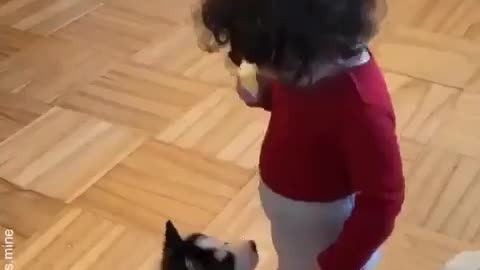 The dog scared the little master