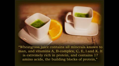 Why Wheatgrass is WONDERFUL
