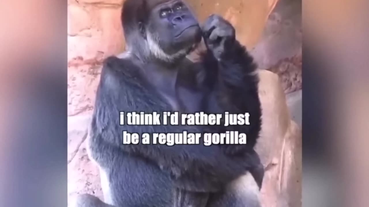 Best Animal Voiceovers