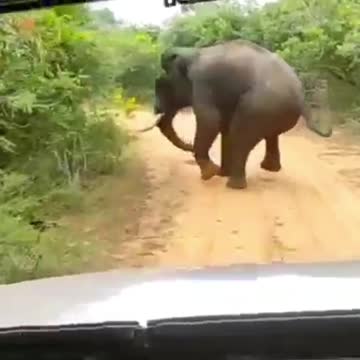 A few survived 😮😮😲