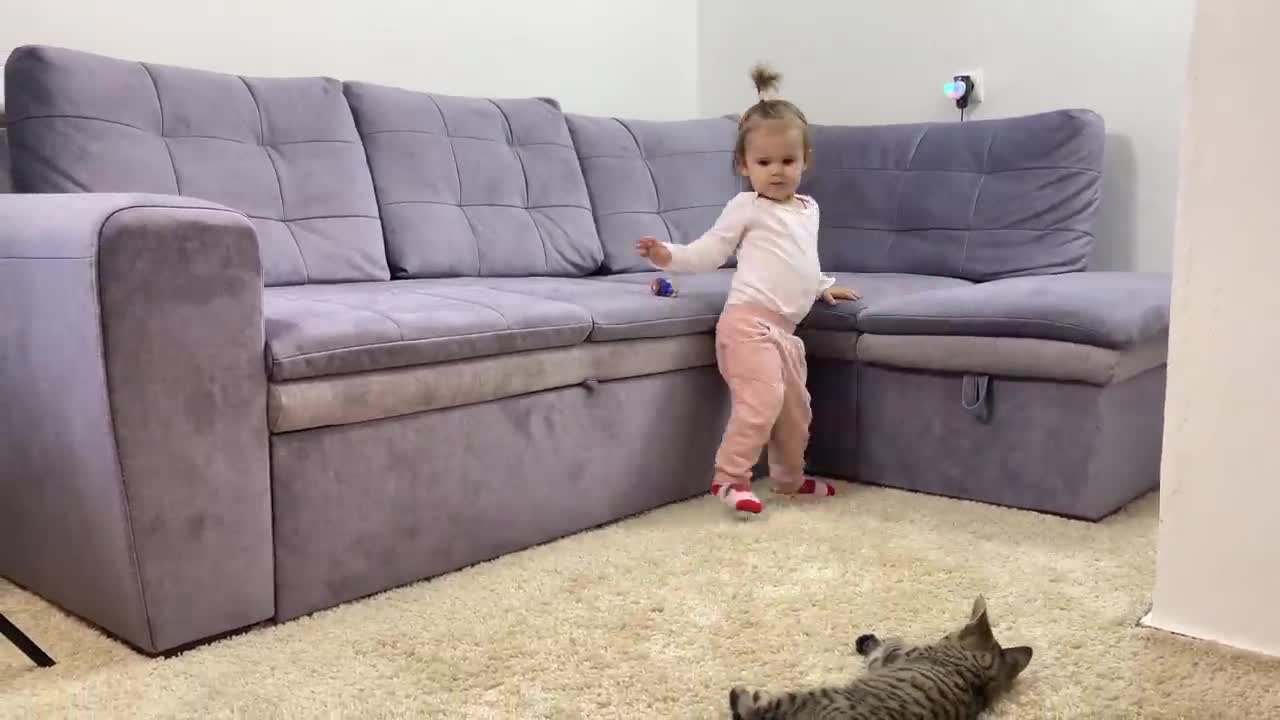 What Does a Kitten do When a Baby Dances Funny Video