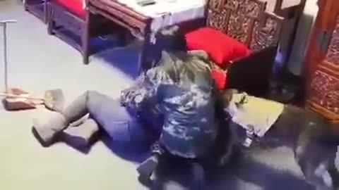 pes přítel nejen člověka