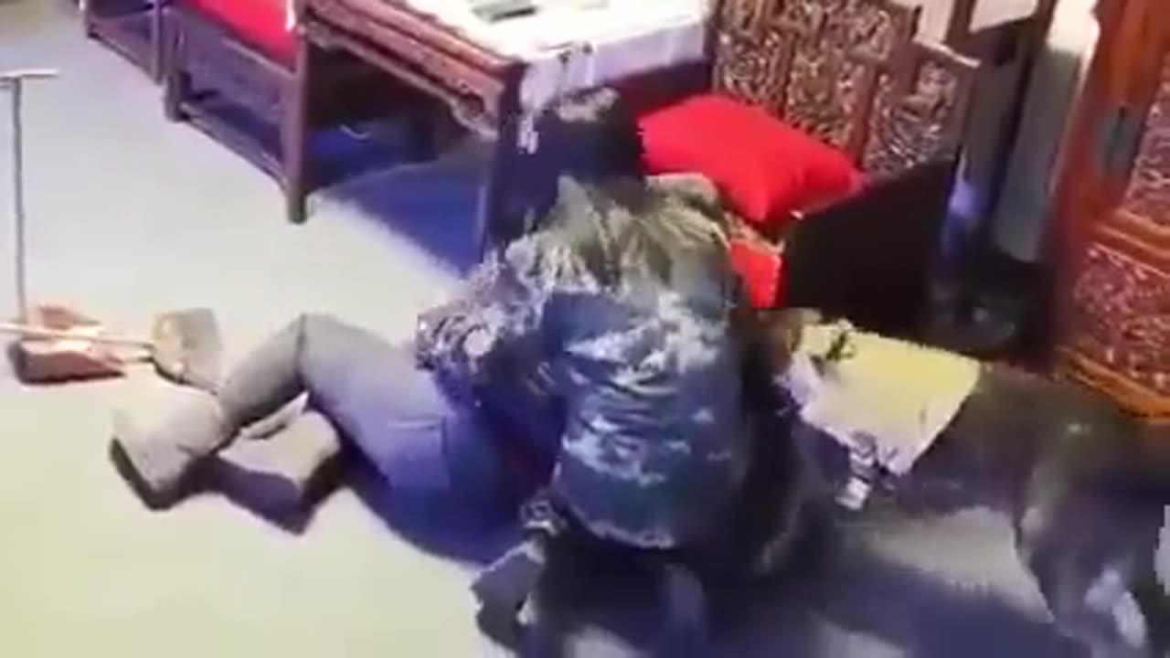 pes přítel nejen člověka